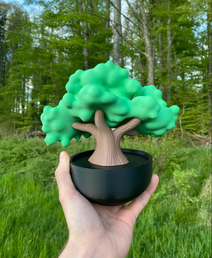 Bonsai
